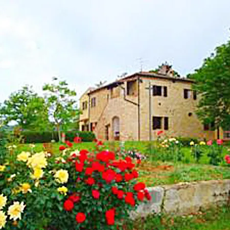 Fattoria Il Piano - Antica Cucina - Apartment *